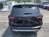 New 2025 Ford Escape Active w/ Tech Pack #1 image 5