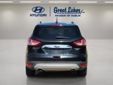 Used 2014 Ford Escape Titanium image 4