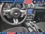 Certified 2021 Ford Mustang Coupe w/ Equipment Group 101A image 5