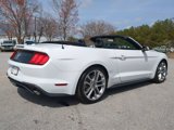 Certified 2019 Ford Mustang Premium w/ Pony Package image 4