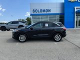 Used 2020 Ford Escape SE image 2