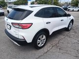 Used 2020 Ford Escape S image 4