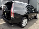 Used 2015 Cadillac Escalade Platinum image 6
