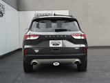 Certified 2020 Ford Escape Titanium image 4