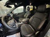 New 2025 Ford Escape ST-Line w/ Cold Weather Package image 3