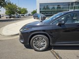 Used 2020 Lexus RX 350 AWD w/ Luxury Package image 2