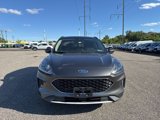 Used 2020 Ford Escape SE image 2