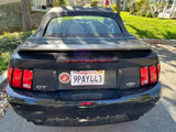 Used 2000 Ford Mustang GT image 4