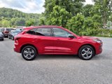 Used 2024 Ford Escape ST-Line image 5