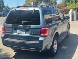 Used 2010 Ford Escape Limited image 4