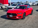 Used 2024 Ford Mustang Premium image 3