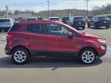 Used 2019 Ford EcoSport SE image 6