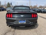 Certified 2022 Ford Mustang Premium image 6