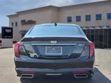 Certified 2021 Cadillac CT5 Premium Luxury image 6