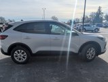 New 2025 Ford Escape Active w/ Tech Pack #1 image 4