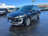Used 2022 Ford Escape SEL w/ Technology Package image 4