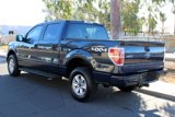 Used 2013 Ford F150 XL w/ XL Plus Pkg image 4