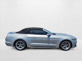Used 2017 Ford Mustang Premium image 4