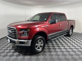 Used 2015 Ford F150 XLT w/ Equipment Group 302A Luxury image 3