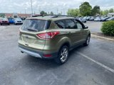 Used 2014 Ford Escape SE w/ Equipment Group 201A image 4