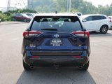 Used 2022 Toyota RAV4 SE w/ Weather & Moonroof Package image 6