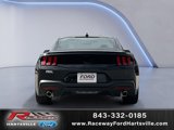 New 2025 Ford Mustang Coupe w/ Mustang Nite Pony Package image 3