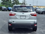 Used 2021 Ford EcoSport SE w/ SE Convenience Package image 6