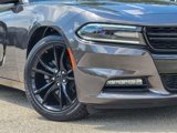 Used 2016 Dodge Charger SXT w/ Blacktop Package image 5