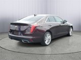 Used 2021 Cadillac CT4 Premium Luxury w/ Climate Package image 3
