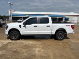 Used 2023 Ford F150 XL w/ STX Appearance Package image 2
