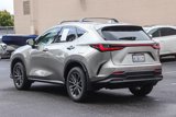 Used 2024 Lexus NX 350 AWD w/ Premium Package image 4