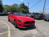 Used 2018 Ford Mustang Premium w/ Equipment Group 201A image 2