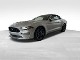 Used 2019 Ford Mustang GT Premium image 2