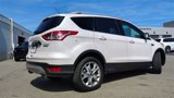 Used 2016 Ford Escape Titanium image 3