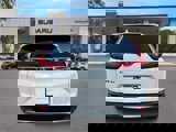 Used 2018 Honda CR-V EX-L image 4