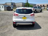 Used 2013 Ford Escape Titanium image 4