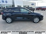 Used 2025 Ford Escape Active image 3