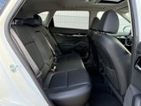Used 2025 Kia Seltos EX w/ EX Sunroof Package image 6