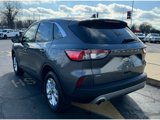 Used 2022 Ford Escape SE image 6
