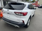 Used 2020 Ford Escape SE image 5