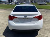 Used 2019 Toyota Corolla SE image 4