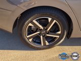 Certified 2024 Nissan Sentra SV image 6
