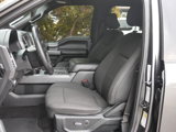 Used 2016 Ford F150 XLT w/ Equipment Group 301A Mid image 3