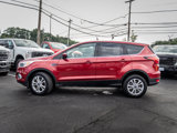 Used 2019 Ford Escape SE image 3