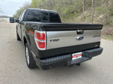 Used 2010 Ford F150 Platinum image 5