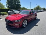 Used 2019 Ford Mustang Premium w/ Equipment Group 201A image 1