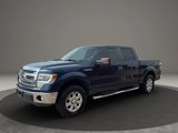 Used 2014 Ford F150 XLT w/ Equipment Group 302A Luxury image 5