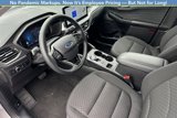 New 2024 Ford Escape Active w/ Tech Pack #1 image 3