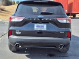Used 2022 Ford Escape SE w/ SE Sport Appearance Package image 4