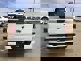 New 2025 Ford F150 STX image 6